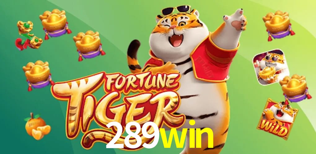 Experiência VIP 289win