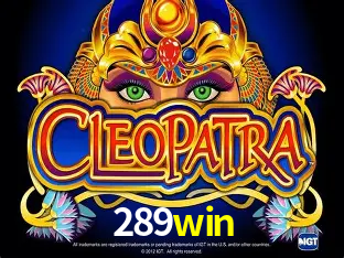 A Experiência Imersiva dos Cassinos Ao Vivo no 289win